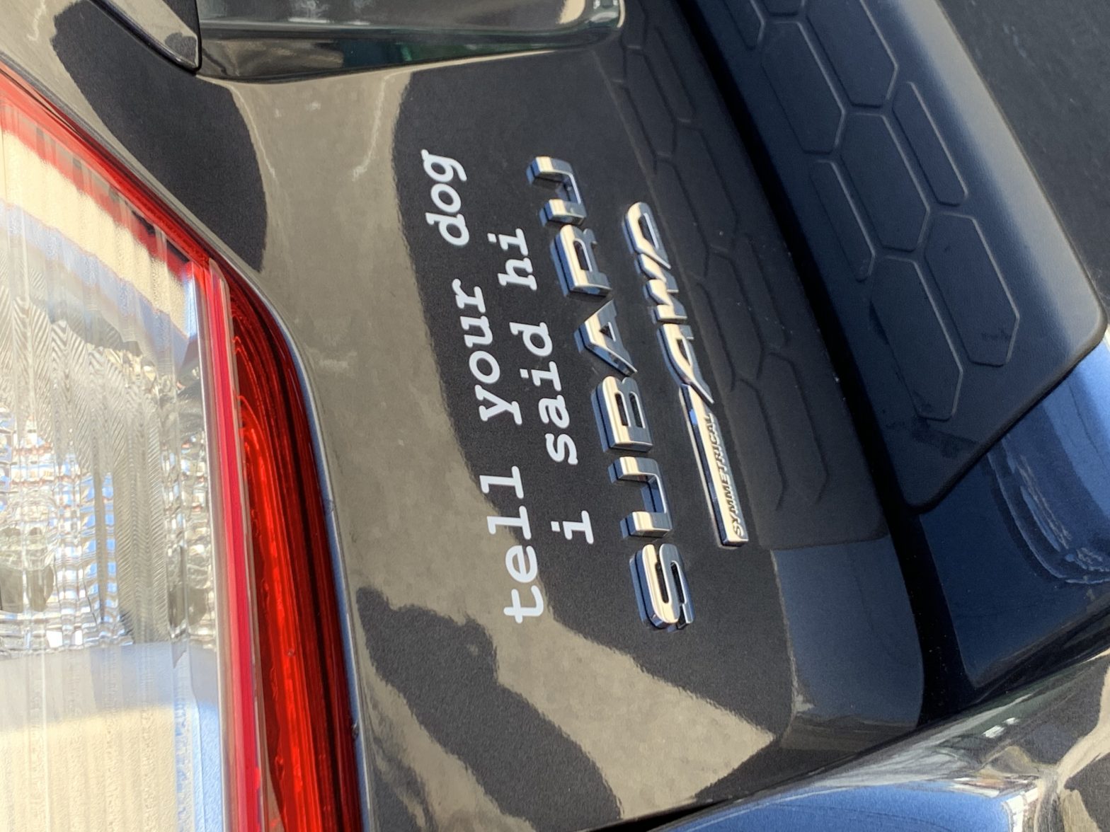 The back of my car, a gray Subaru CrossTrek, now with a white "Tell Your Dog I Said Hi" sticker
